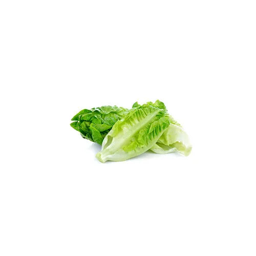 Romaine